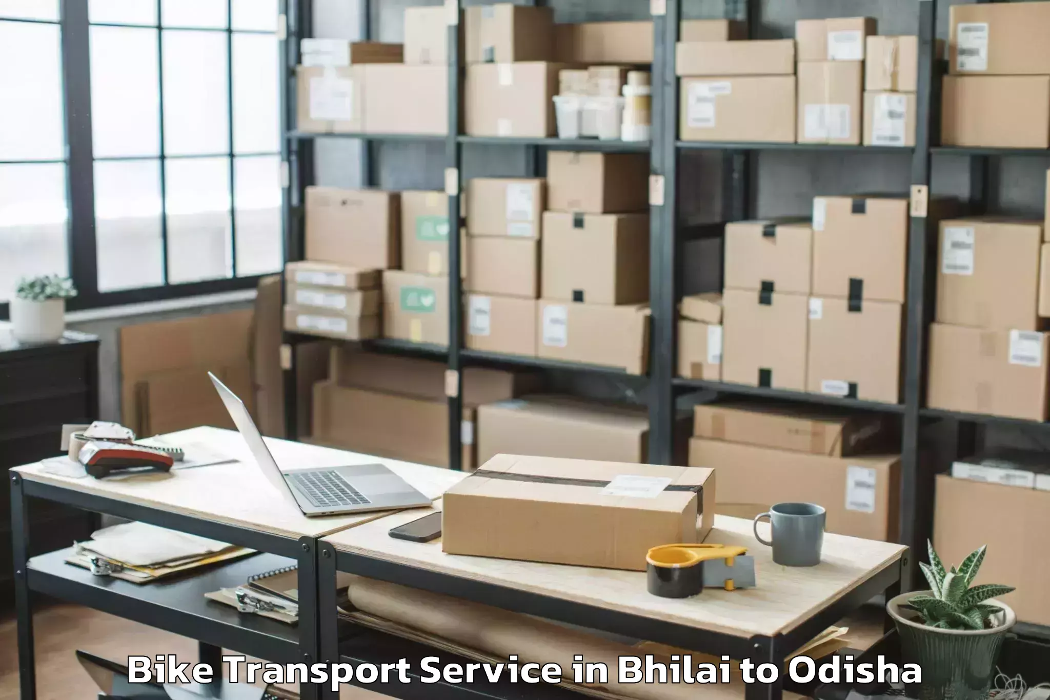 Easy Bhilai to Khordha Bike Transport Booking